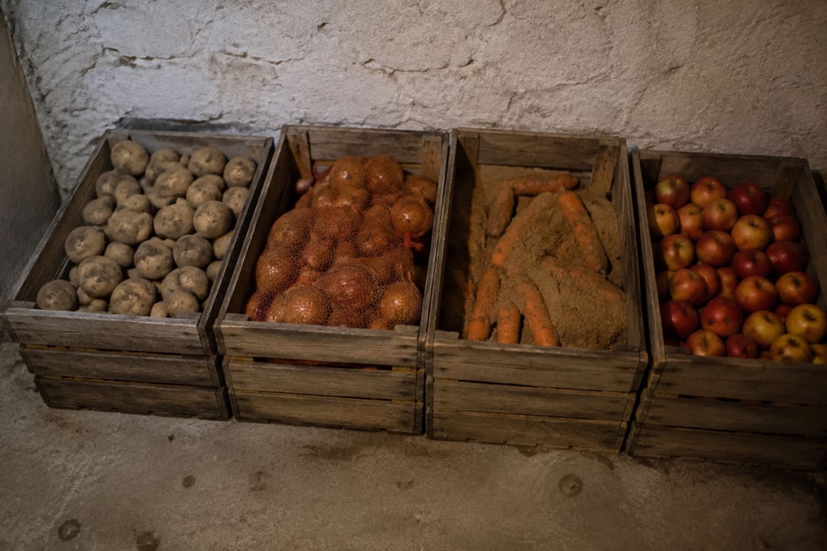 Vier Holzkisten lagern Kartoffeln, Zwiebeln, Möhren in Sand und Äpfel im Keller.