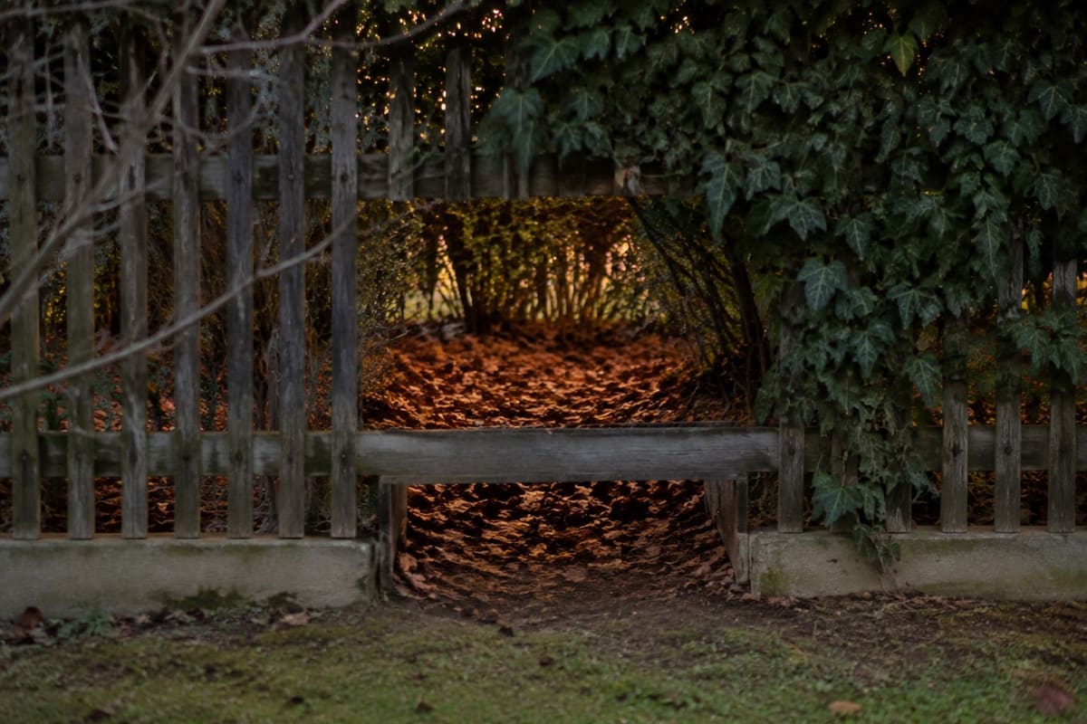 Großer Laubhaufen unter einer Hecke liegt neben einem kleinen Durchlass im Zaun.