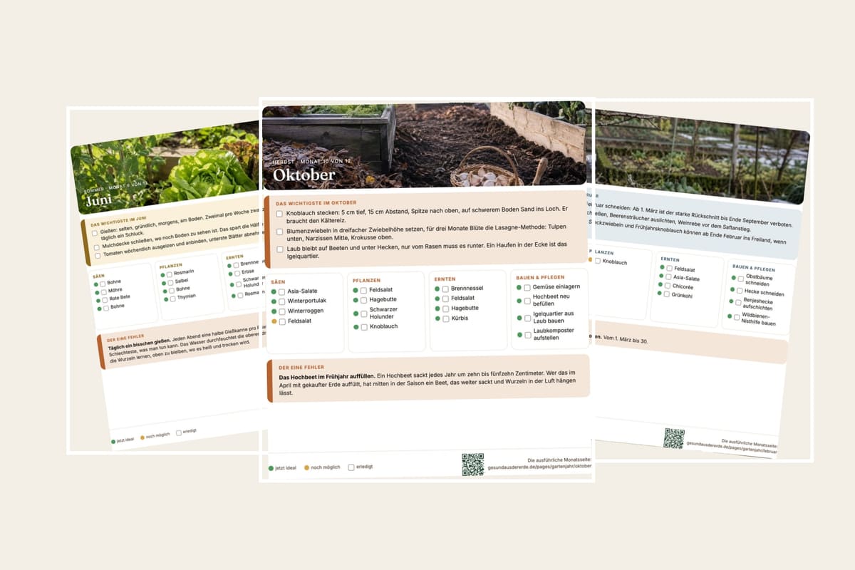 Drei Monatskarten des Naturgarten-Jahresplaners liegen gefächert übereinander: oben ein Gartenfoto, darunter Kästchen zum Abhaken für Säen, Pflanzen, Ernten und Bauen.