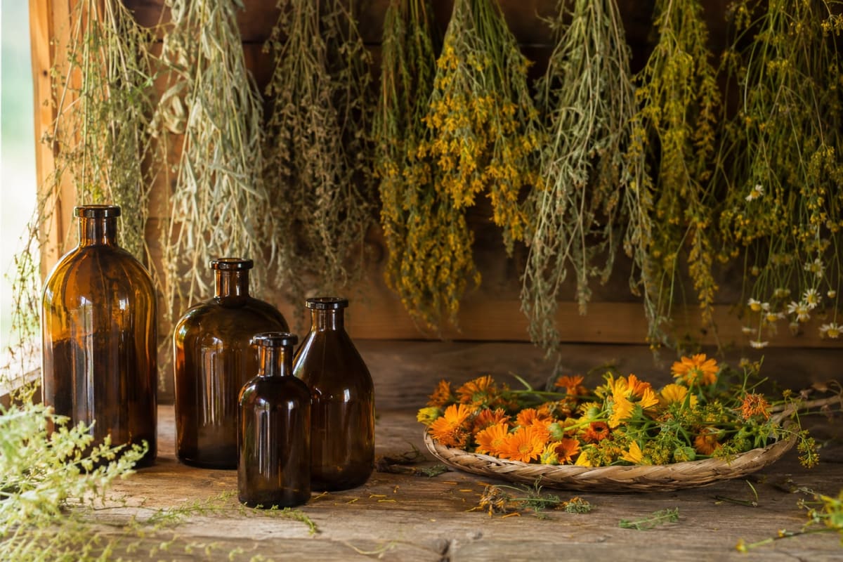 Kräuterbündel hängen kopfüber zum Trocknen, darunter braune Apothekerflaschen und eine Schale Ringelblumenblüten.
