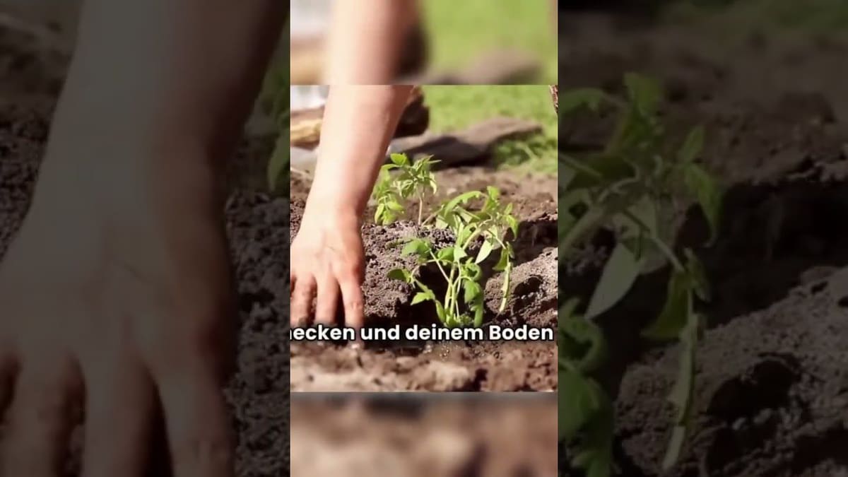 Vorschaubild: Permakultur als Lifestyle – Mehr als nur Gartenarbeit