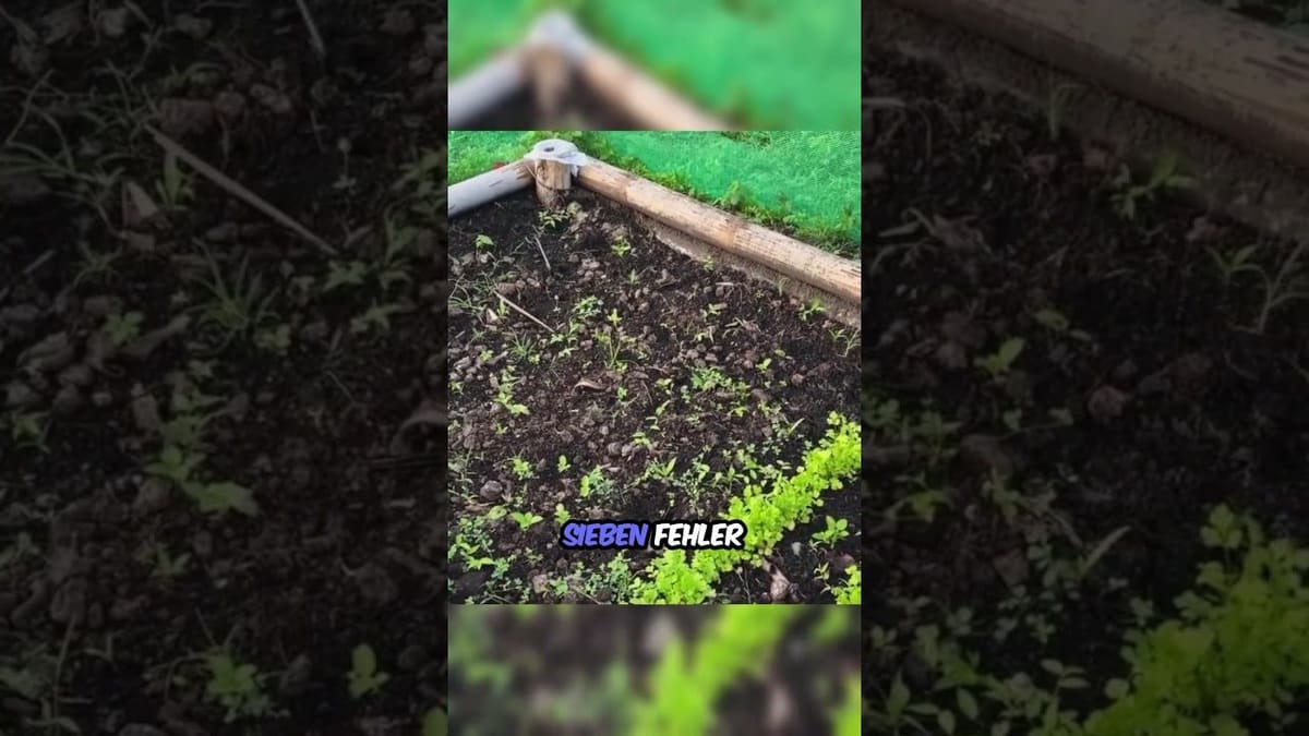 Vorschaubild: Ohne Planung bekommst du genau den Garten, den du nicht willst
