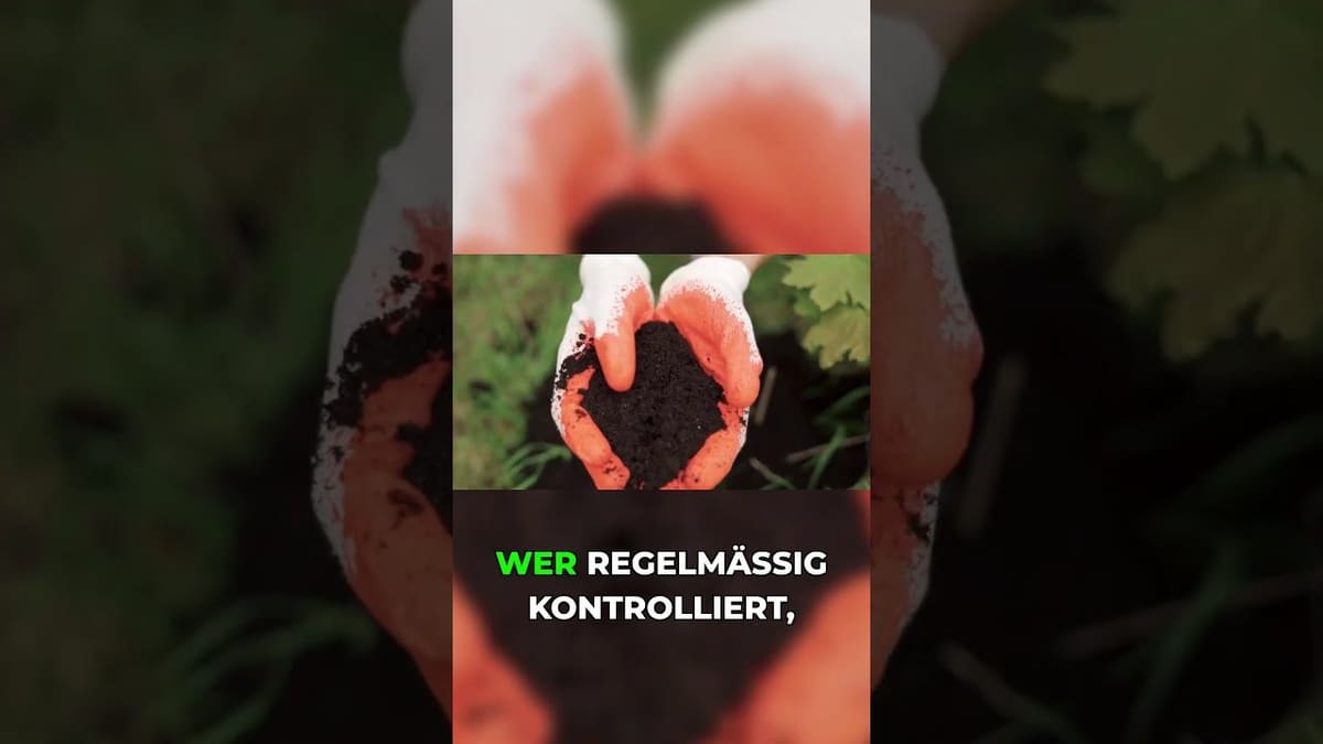 Vorschaubild: Nie wieder Unkraut-Chaos im Garten