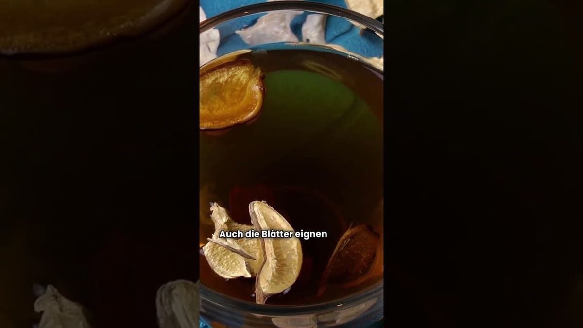 Vorschaubild: Schwarze Johannisbeere: Vitaminreiche Beere für Garten und Küche