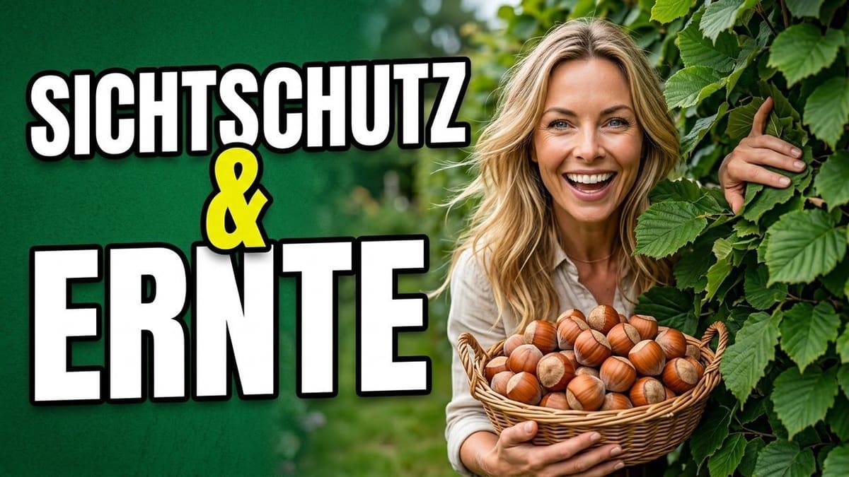 Vorschaubild: Hasel: Der unterschätzte Allrounder für deinen Garten