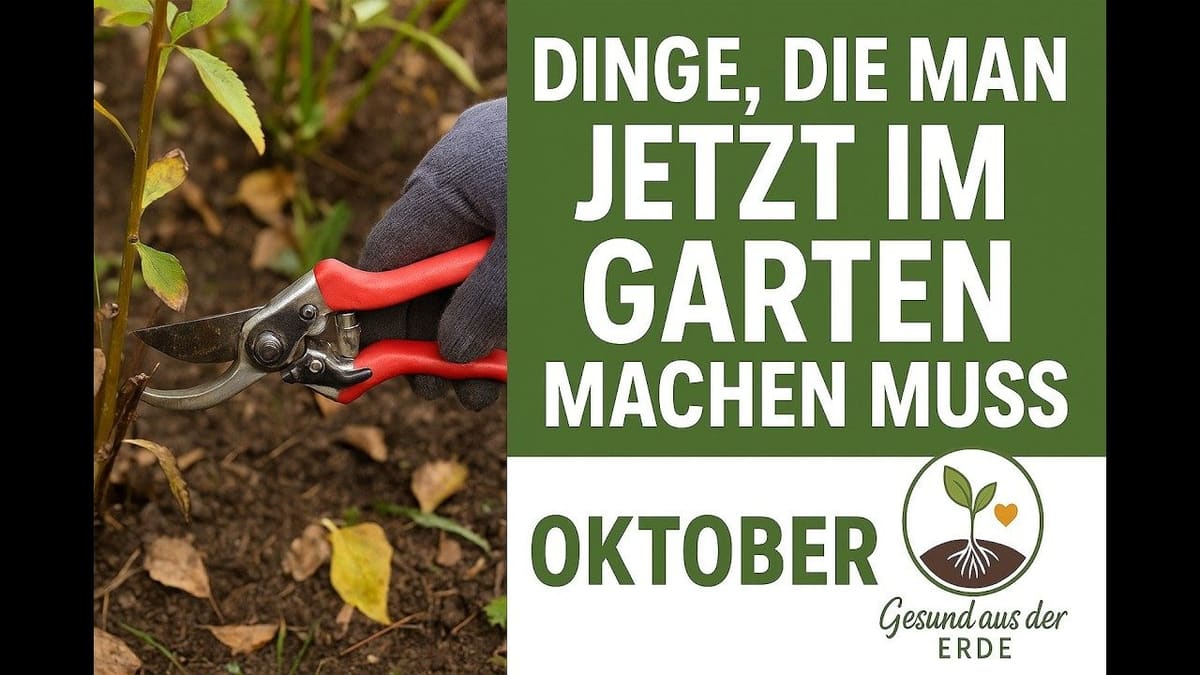 Vorschaubild: Blühender Garten im Frühling? Fangt im Oktober an